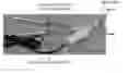 Fig. 01 - MUSCULOSKELETAL TISSUE FABRICATION