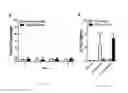 Fig. 13 - MUSCULOSKELETAL TISSUE FABRICATION