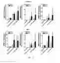 Fig. 18 - MUSCULOSKELETAL TISSUE FABRICATION