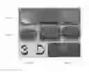 Fig. 26 - MUSCULOSKELETAL TISSUE FABRICATION