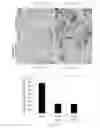 Fig. 31 - MUSCULOSKELETAL TISSUE FABRICATION