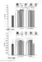 Fig. 18 - Implantable devices for bone or joint defects