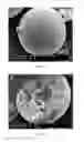 Fig. 05 - Micro-needle and micro-needle patch
