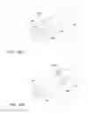 Fig. 11 - ACTIVE FILTRATION OF BLOOD PLASMA FLOWING THROUGH BONE MARROW