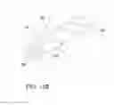 Fig. 13 - ACTIVE FILTRATION OF BLOOD PLASMA FLOWING THROUGH BONE MARROW