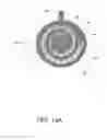Fig. 18 - ACTIVE FILTRATION OF BLOOD PLASMA FLOWING THROUGH BONE MARROW
