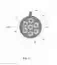 Fig. 21 - ACTIVE FILTRATION OF BLOOD PLASMA FLOWING THROUGH BONE MARROW