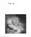 Fig. 22 - ACTIVE FILTRATION OF BLOOD PLASMA FLOWING THROUGH BONE MARROW