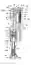 Fig. 01 - Automatic injection device