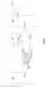Fig. 29 - Methods and apparatus for lancet actuation