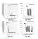 Fig. 40 - Device and method for aerosolized delivering of substance to a natural orifice of the body