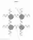 Fig. 08 - Microneedle manufacturing process with hats