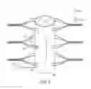 Fig. 05 - SYSTEMS AND METHODS FOR DELIVERING ELECTRIC CURRENT FOR SPINAL CORD STIMULATION