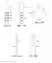 Fig. 11 - SYSTEMS AND METHODS FOR DELIVERING ELECTRIC CURRENT FOR SPINAL CORD STIMULATION