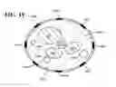 Fig. 13 - Topical neurological stimulation