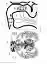 Fig. 16 - Magnetic neural stimulator and method of activation of neural tissue with same