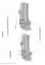 Fig. 46 - Nanoscale neuromodulating platform for retina neuron activation apparatus and method