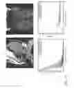 Fig. 29 - Systems and methods for specifying treatment criteria and treatment parameters for patient specific radiation therapy planning