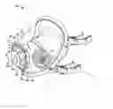 Fig. 01 - Breathing Mask With Variable Airflow Resistance Insert