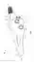 Fig. 03 - Scent Suppression Mask