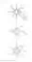 Fig. 04 - Diamond type cam for rock climbing