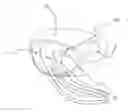 Fig. 01 - INDUCTIVE SENSING SYSTEM FOR SPORTS PERFORMANCE IMPROVEMENT