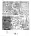 Fig. 02 - SOCIAL VIDEO GAME METHOD, APPARATUS, AND SYSTEM