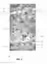Fig. 03 - SOCIAL VIDEO GAME METHOD, APPARATUS, AND SYSTEM