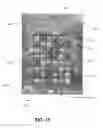 Fig. 09 - SOCIAL VIDEO GAME METHOD, APPARATUS, AND SYSTEM