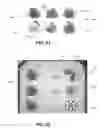Fig. 17 - SOCIAL VIDEO GAME METHOD, APPARATUS, AND SYSTEM