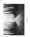 Fig. 12 - Background imagery for enhanced pepper's ghost illusion