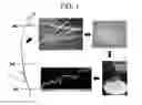 Fig. 02 - MULTIPLEX CHEMOTYPING MICROARRAY (MCM) SYSTEM AND METHODS
