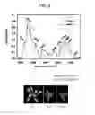Fig. 03 - MULTIPLEX CHEMOTYPING MICROARRAY (MCM) SYSTEM AND METHODS
