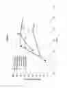 Fig. 10 - Copper Containing Levyne Molecular Sieve For Selective Reduction Of NOx