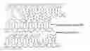 Fig. 01 - Sulfonated polyethylene