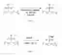 Fig. 04 - Sulfonated polyethylene