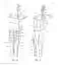 Fig. 02 - WEAR APPARATUS FOR GRINDING ROLLS AND METHODS THEREOF