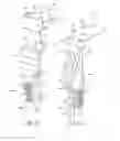 Fig. 07 - WEAR APPARATUS FOR GRINDING ROLLS AND METHODS THEREOF