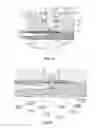 Fig. 12 - Control method and apparatus for dispensing high-quality drops of high-viscosity materials