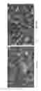 Fig. 02 - Apparatus and method for silicon powder management