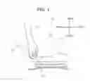 Fig. 02 - Press molding method