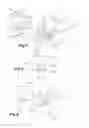 Fig. 03 - Turbine engine blade preform