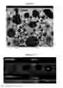 Fig. 12 - Transient liquid phase sinter pastes and application and processing methods relating thereto