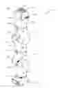 Fig. 01 - Event-based redundancy angle configuration for articulated-arm robots