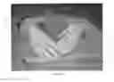 Fig. 13 - ISOLATION BOX FOR PROTECTING READING MATERIAL