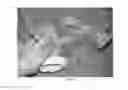 Fig. 21 - ISOLATION BOX FOR PROTECTING READING MATERIAL