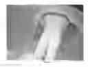 Fig. 24 - ISOLATION BOX FOR PROTECTING READING MATERIAL