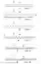 Fig. 04 - PATTERNED APERTURED WEBS AND METHODS FOR MAKING THE SAME