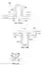 Fig. 22 - PATTERNED APERTURED WEBS AND METHODS FOR MAKING THE SAME