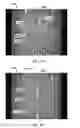 Fig. 27 - PATTERNED APERTURED WEBS AND METHODS FOR MAKING THE SAME